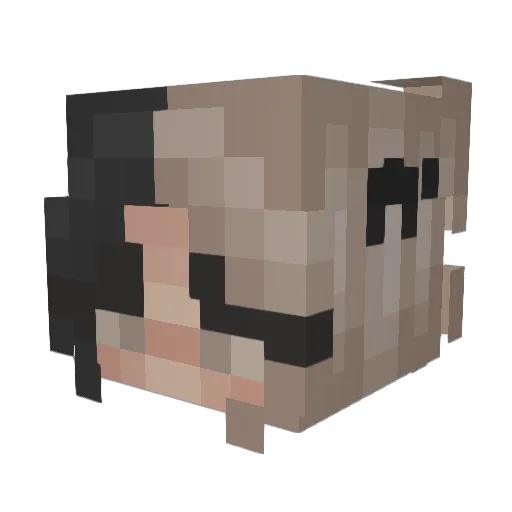 ThatEmoKid6424 Minecraft avatar head, 3D render