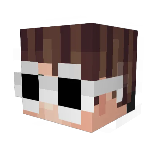 ThatGuyJimmy Minecraft avatar head, 3D render