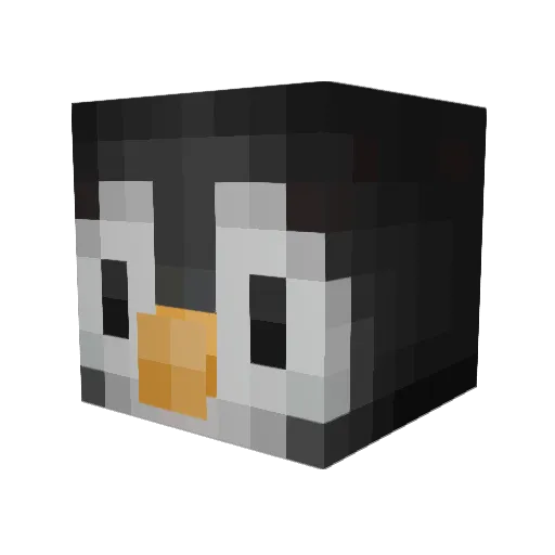 ThatGuyWunder Minecraft avatar head, 3D render