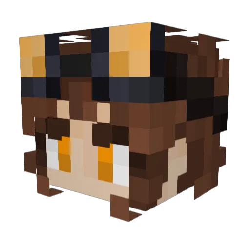 ThatJustSomeGuy Minecraft avatar head, 3D render