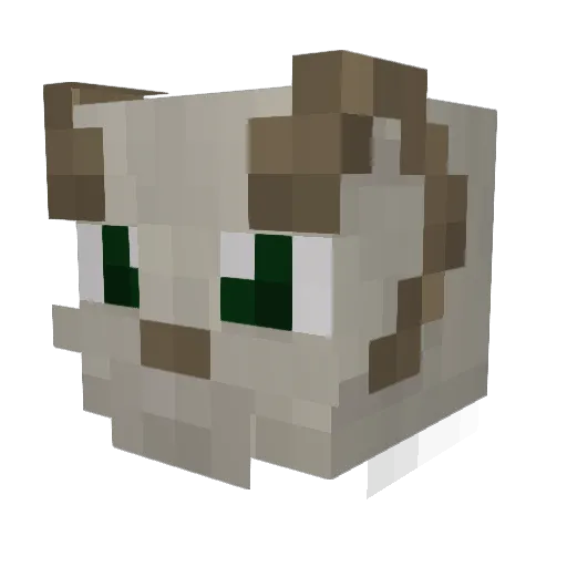 ThatKid852 Minecraft avatar head, 3D render