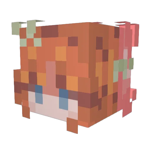 ThatKiwiFruit Minecraft avatar head, 3D render