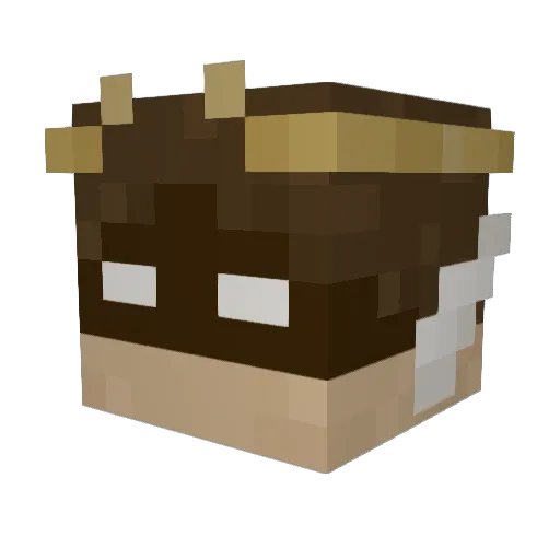 ThatKodster Minecraft avatar head, 3D render