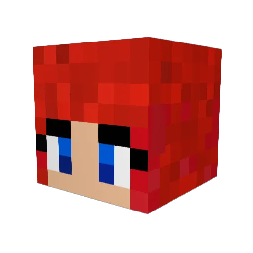 ThatLlamaPerson Minecraft avatar head, 3D render