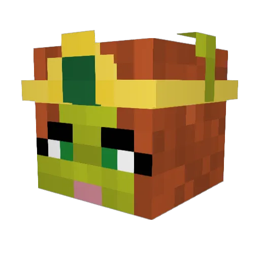 ThatNels Minecraft avatar head, 3D render
