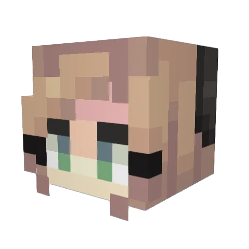 ThatOneFunnyKid9 Minecraft avatar head, 3D render