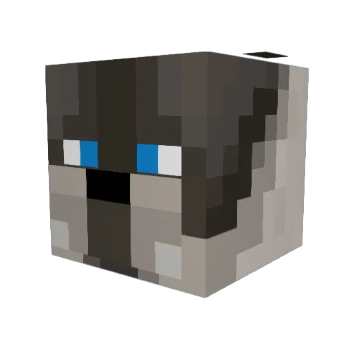 ThatOneGuy152 Minecraft avatar head, 3D render