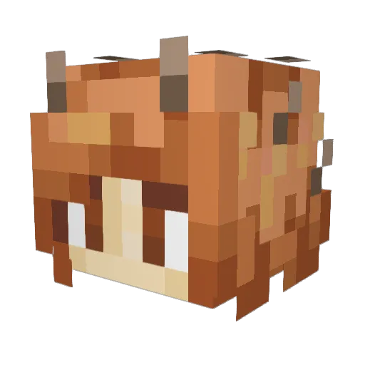 ThatOneLin Minecraft avatar head, 3D render