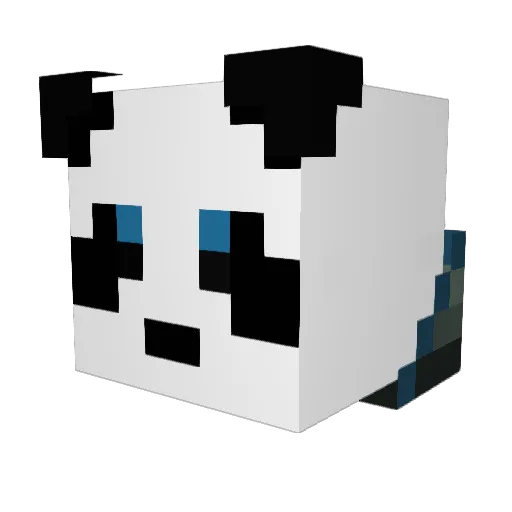 ThatPandaGuy47 Minecraft avatar head, 3D render