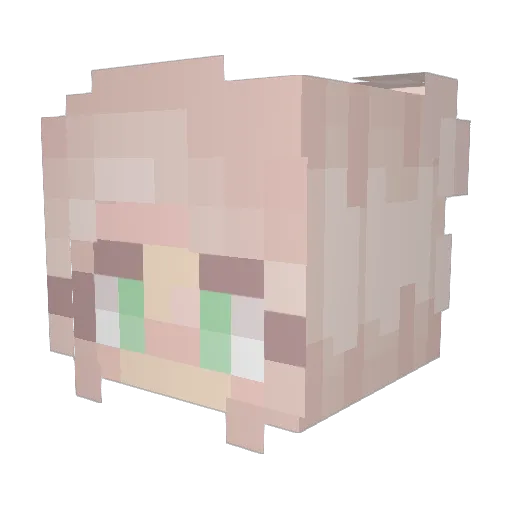 ThatPoppyx Minecraft avatar head, 3D render