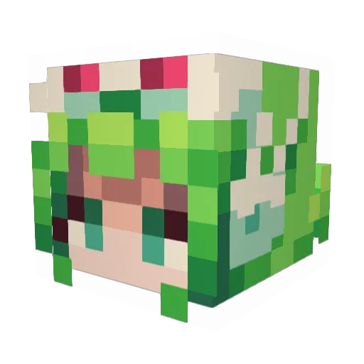 ThatQwertyPi Minecraft avatar head, 3D render