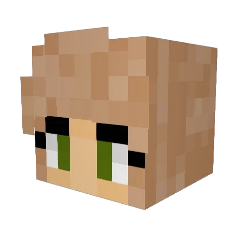 ThatRainbowGuy17 Minecraft avatar head, 3D render