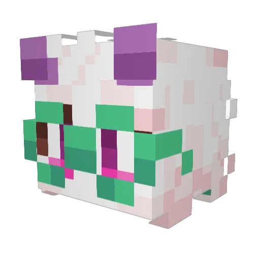 ThatSaltBoy Minecraft avatar head, 3D render