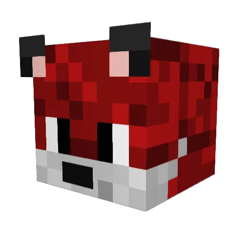 ThatSaltyFox Minecraft avatar head, 3D render