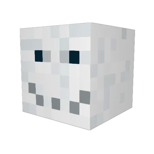 ThatSkier Minecraft avatar head, 3D render