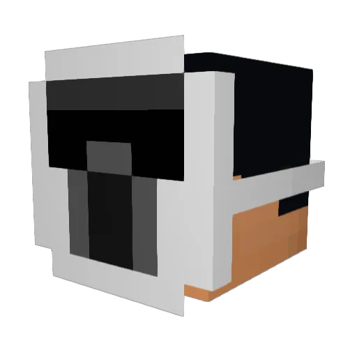 ThatTrooperGuy Minecraft avatar head, 3D render