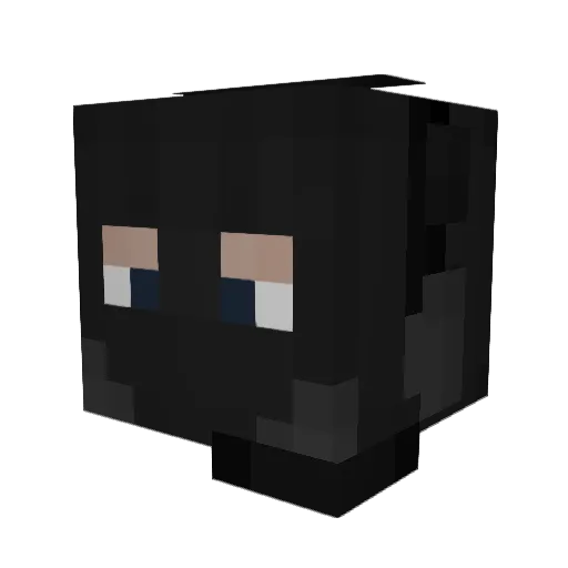 ThatUshankaGuy Minecraft avatar head, 3D render