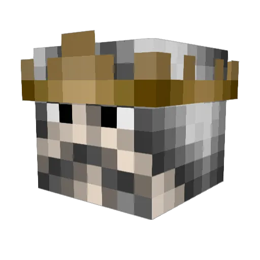 That_Boi_eli_ Minecraft avatar head, 3D render