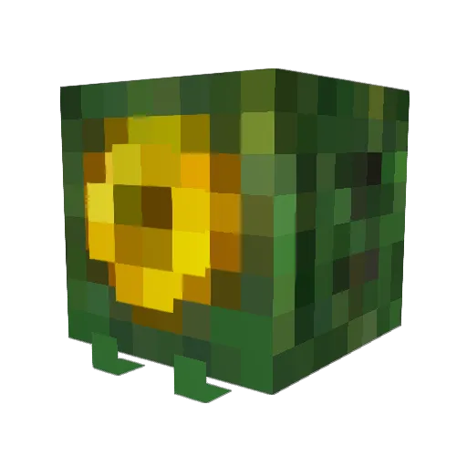 That_Guy_Josh235 Minecraft avatar head, 3D render