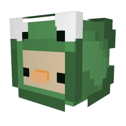 That_Guy_Nate Minecraft avatar head, 3D render