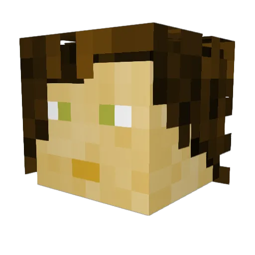 That_Guy_Tim_11 Minecraft avatar head, 3D render