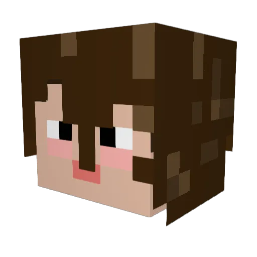 That_Lit_fox Minecraft avatar head, 3D render