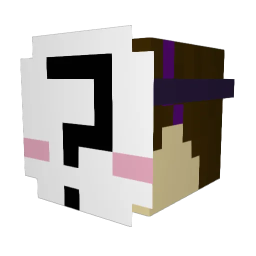 That_One_Guy91 Minecraft avatar head, 3D render