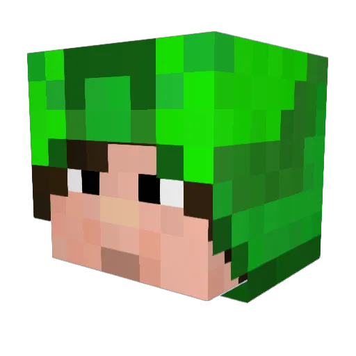 That_One_Rival_ Minecraft avatar head, 3D render