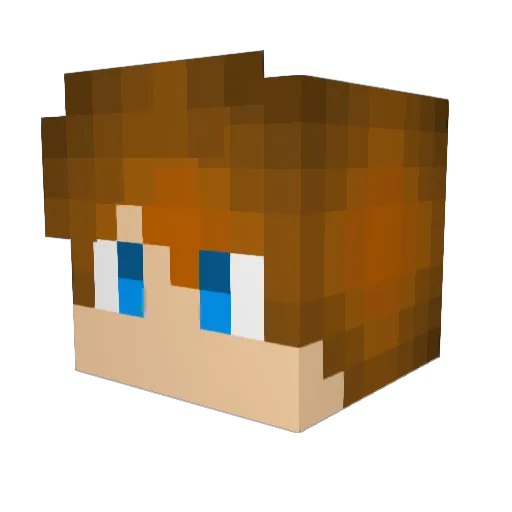 That_Sheppy_Boi Minecraft avatar head, 3D render