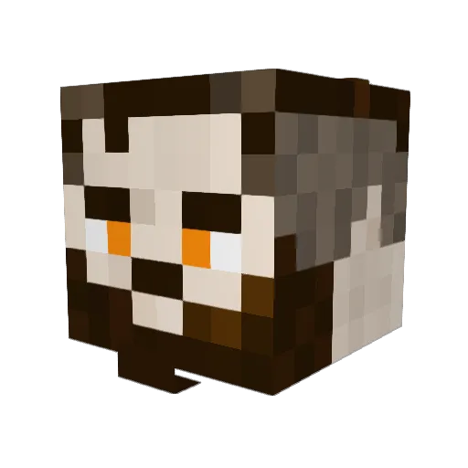 That_SpicyDragon Minecraft avatar head, 3D render