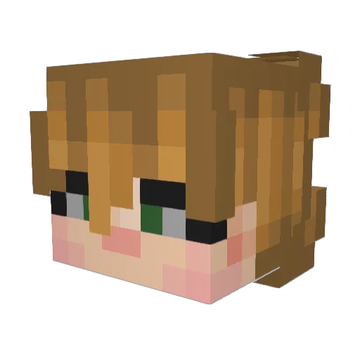 Thatbackfliptho Minecraft avatar head, 3D render