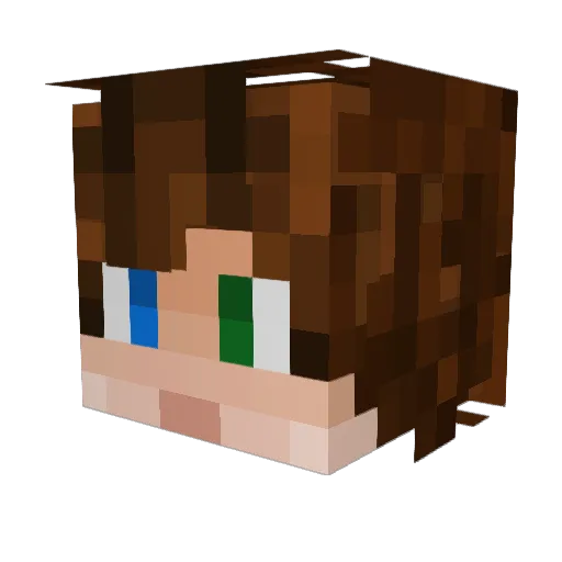 Thatchie Minecraft avatar head, 3D render