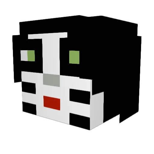 Thatcooldude674 Minecraft avatar head, 3D render