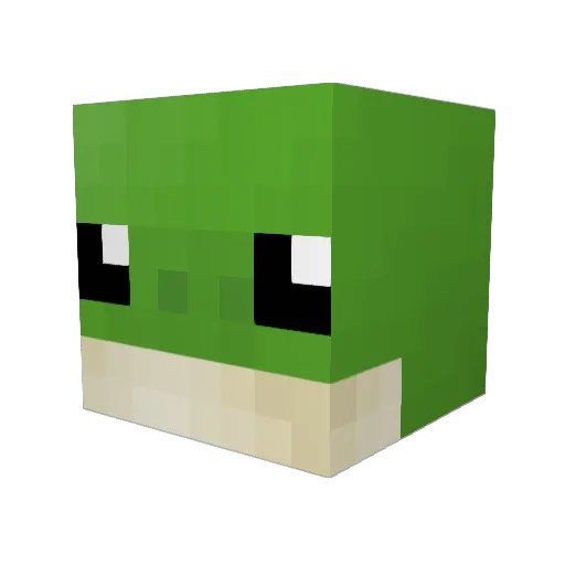 Thatgamerguy55 Minecraft avatar head, 3D render