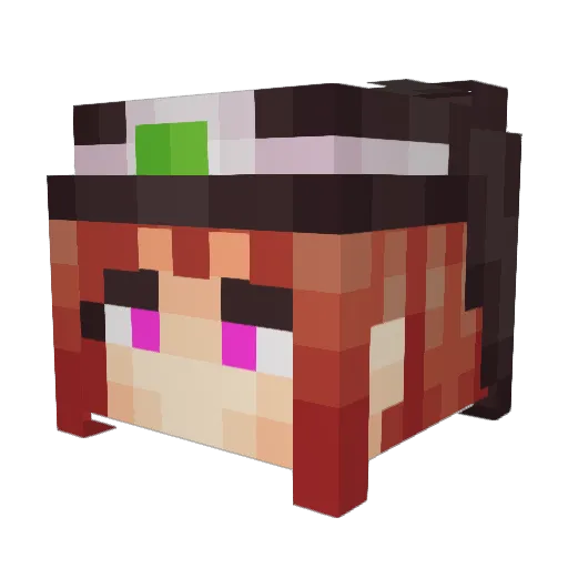 Thatnut Minecraft avatar head, 3D render