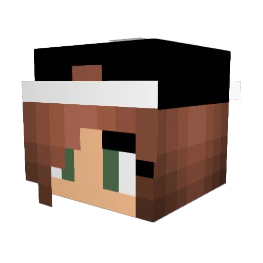 Thatonecup Minecraft avatar head, 3D render