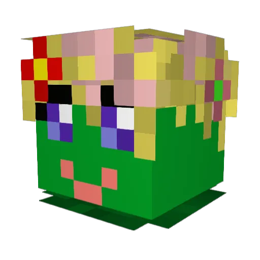 Thatotherbobguy Minecraft avatar head, 3D render