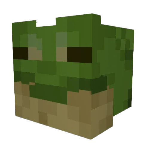 ThatsCrazy1111 Minecraft avatar head, 3D render
