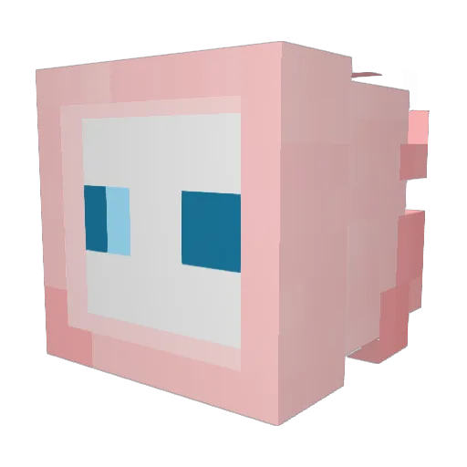 ThatsJustWild Minecraft avatar head, 3D render