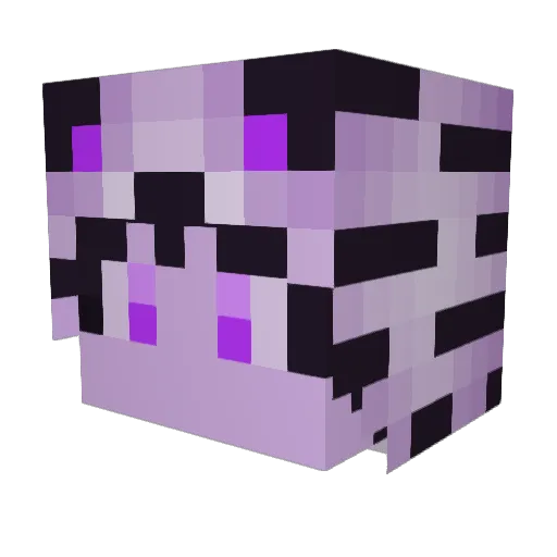 ThatsLarpShock Minecraft avatar head, 3D render