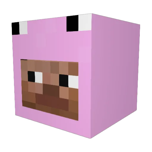 ThatsLit Minecraft avatar head, 3D render
