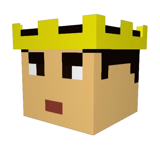 ThatsNiceBro Minecraft avatar head, 3D render