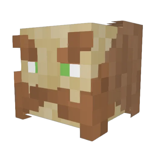 ThatsSoggersDude Minecraft avatar head, 3D render