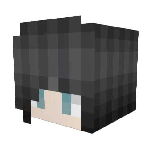 ThatsTheWayUdoIt Minecraft avatar head, 3D render