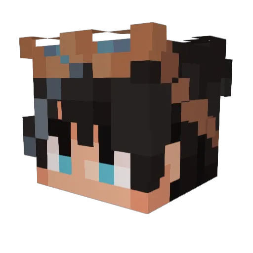 Thats__Not__Bosh Minecraft avatar head, 3D render