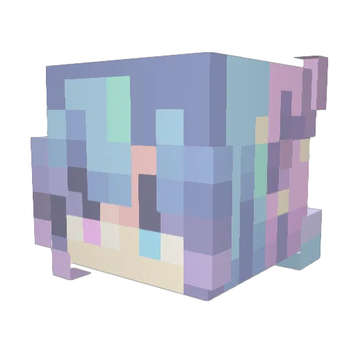 Thatsomeone2005 Minecraft avatar head, 3D render