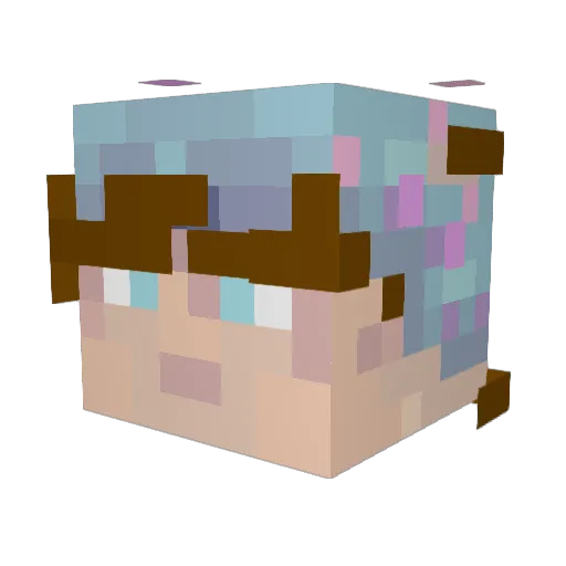 Thatwasepic9349 Minecraft avatar head, 3D render