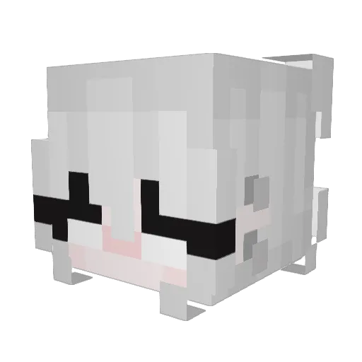 Thaymin9 Minecraft avatar head, 3D render
