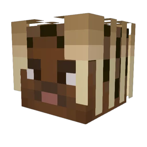 Thayto Minecraft avatar head, 3D render