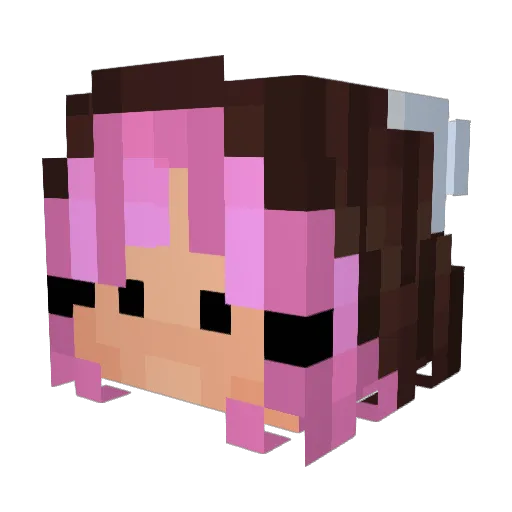 The10thOne Minecraft avatar head, 3D render
